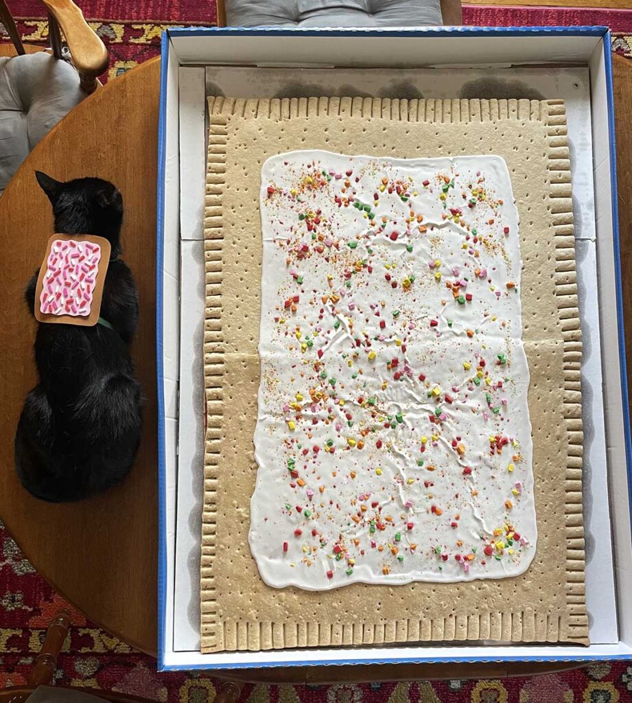 Kellogg's Pop-Tarts Party Pastry Review with Pop-Tart the Cat